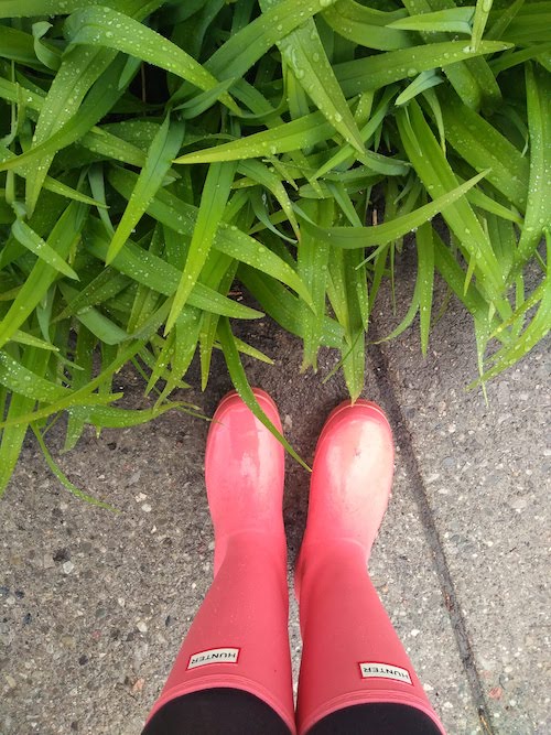 Green leaves beside a sidewalk. The leaves are wet. A pair of pink rainboots can be seen at the bottom of the image. 